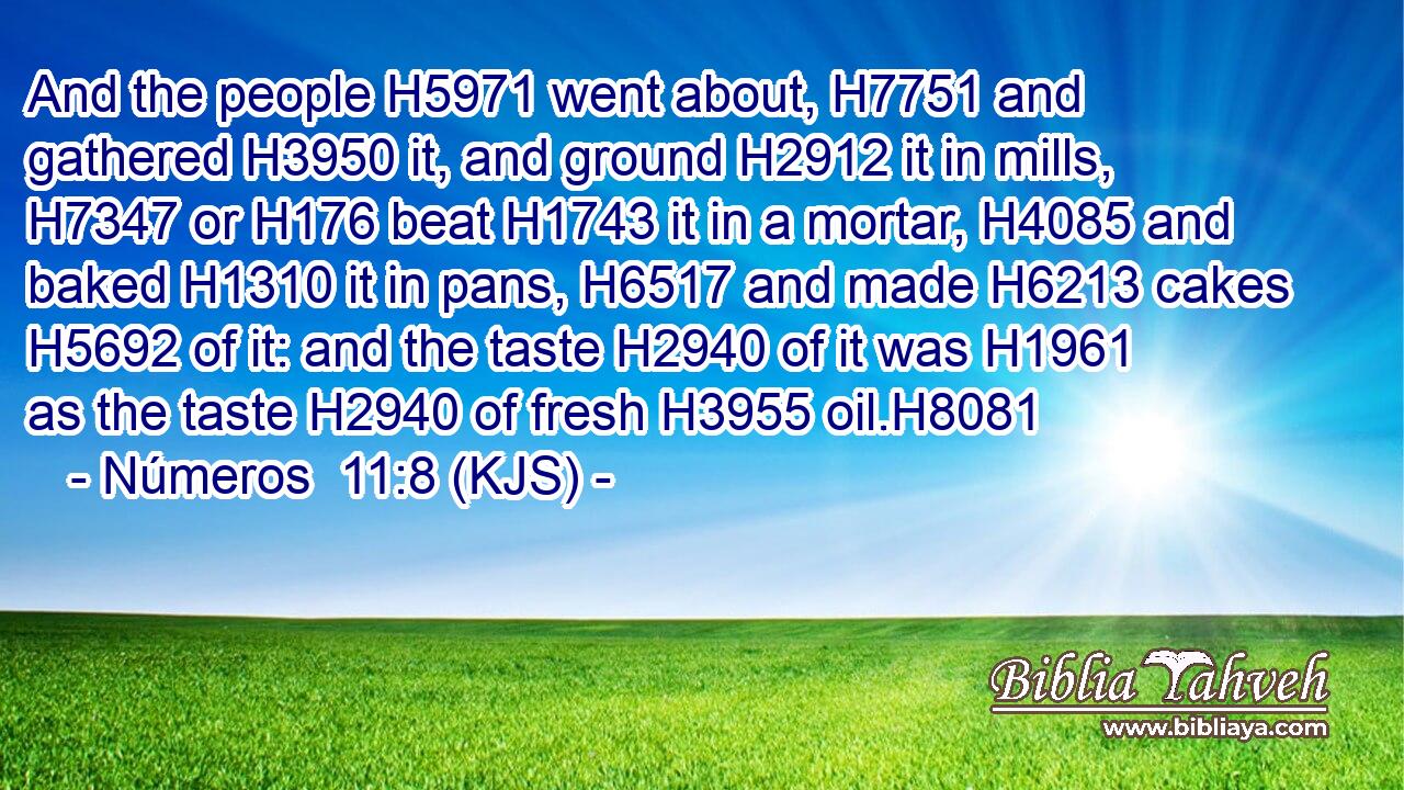 And the people H5971 went about, H7751 and gathered H3950 it, and ground H2912 it in mills, H7347 or H176 beat H1743 it in a mortar, H4085 and baked H1310 it in pans, H6517 and made H6213 cakes H5692 of it: and the taste H2940 of it was H1961 as the taste H2940 of fresh H3955 oil.H8081