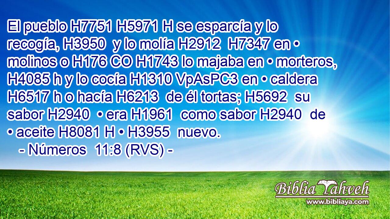 El pueblo H7751 H5971 H se esparcía y lo recogía, H3950  y lo molía H2912  H7347 en • molinos o H176 CO H1743 lo majaba en • morteros, H4085 h y lo cocía H1310 VpAsPC3 en • caldera H6517 h o hacía H6213  de él tortas; H5692  su sabor H2940  • era H1961  como sabor H2940  de • aceite H8081 H • H3955  nuevo. 