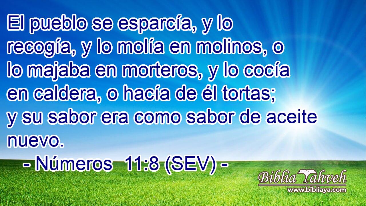 El pueblo se esparcía, y lo recogía, y lo molía en molinos, o lo majaba en morteros, y lo cocía en caldera, o hacía de él tortas; y su sabor era como sabor de aceite nuevo.