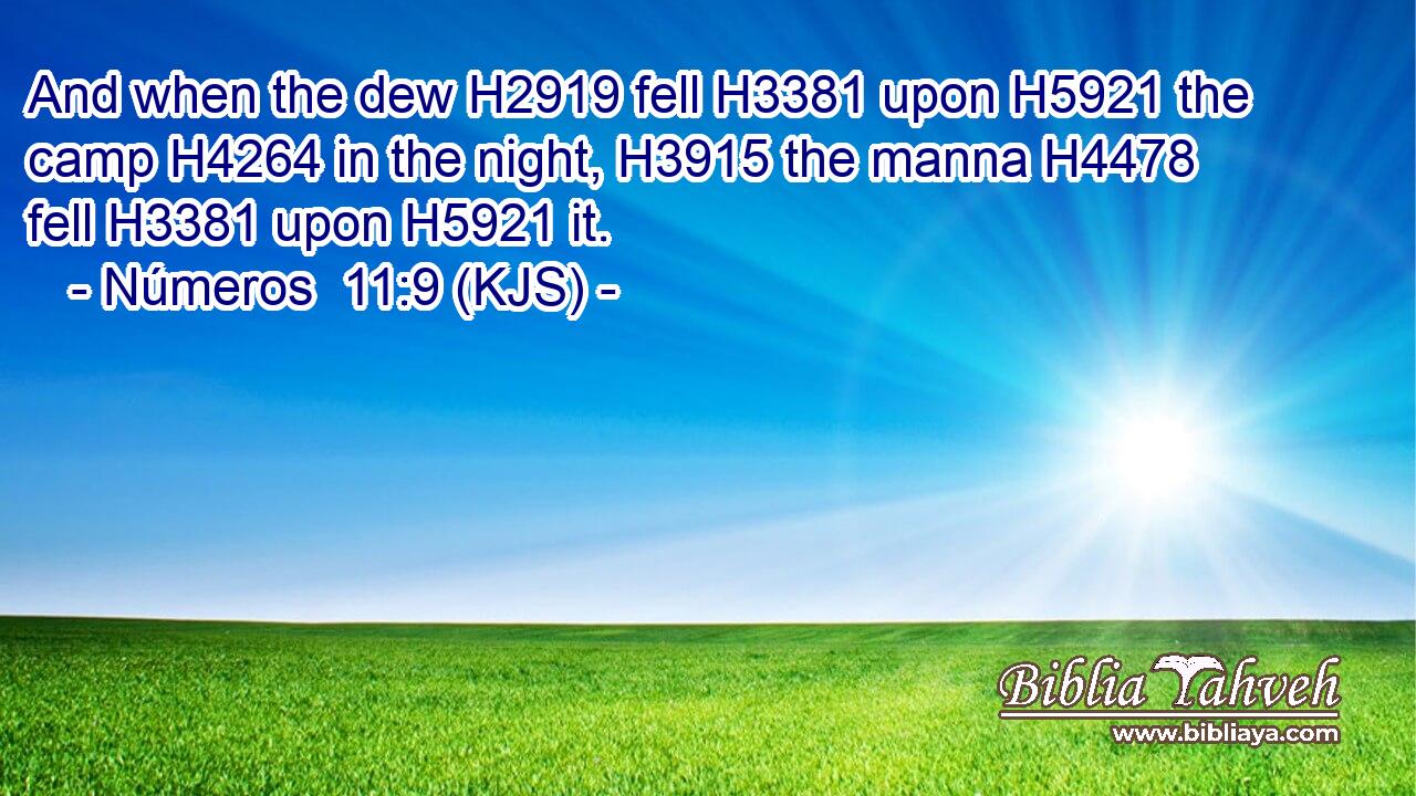And when the dew H2919 fell H3381 upon H5921 the camp H4264 in the night, H3915 the manna H4478 fell H3381 upon H5921 it.