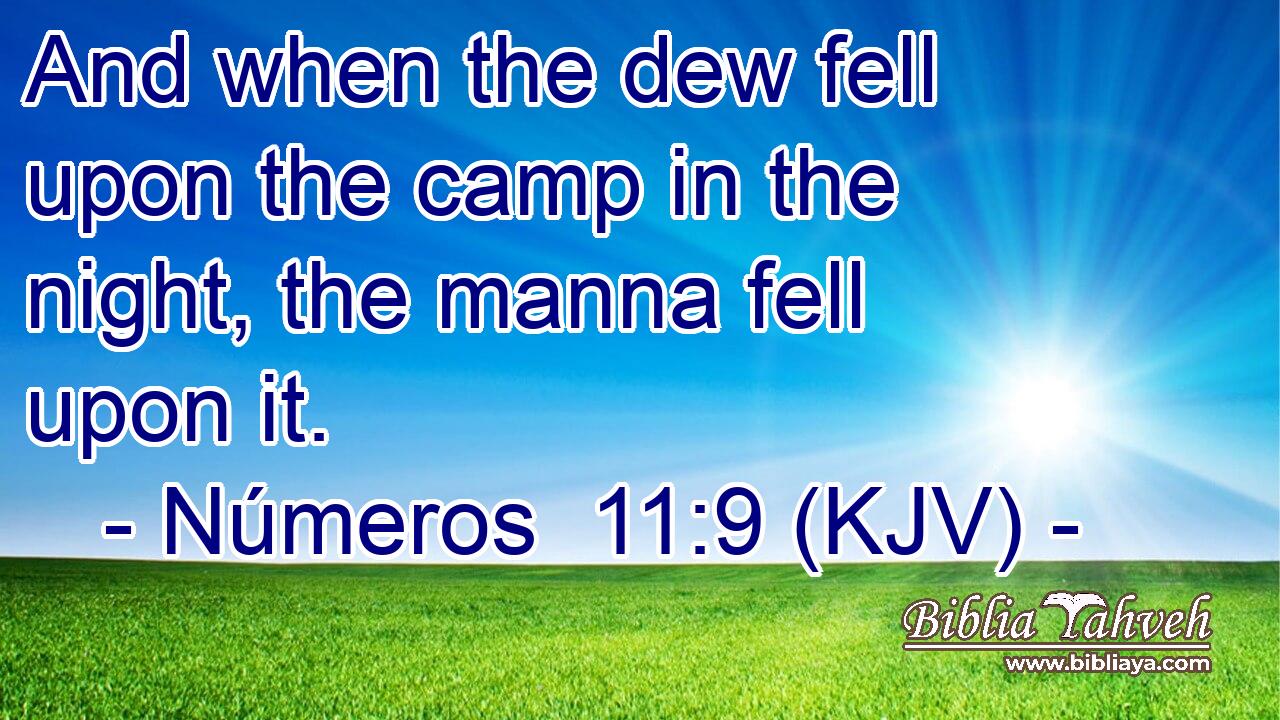 And when the dew fell upon the camp in the night, the manna fell upon it.