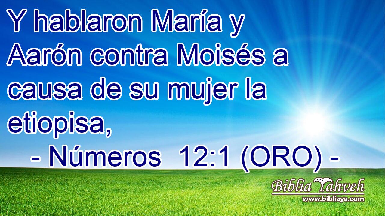  Y hablaron María y Aarón contra Moisés a causa de su mujer la etiopisa, 