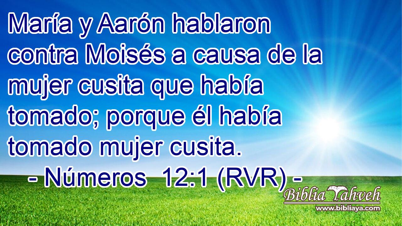 María y Aarón hablaron contra Moisés a causa de la mujer cusita que había tomado; porque él había tomado mujer cusita.
