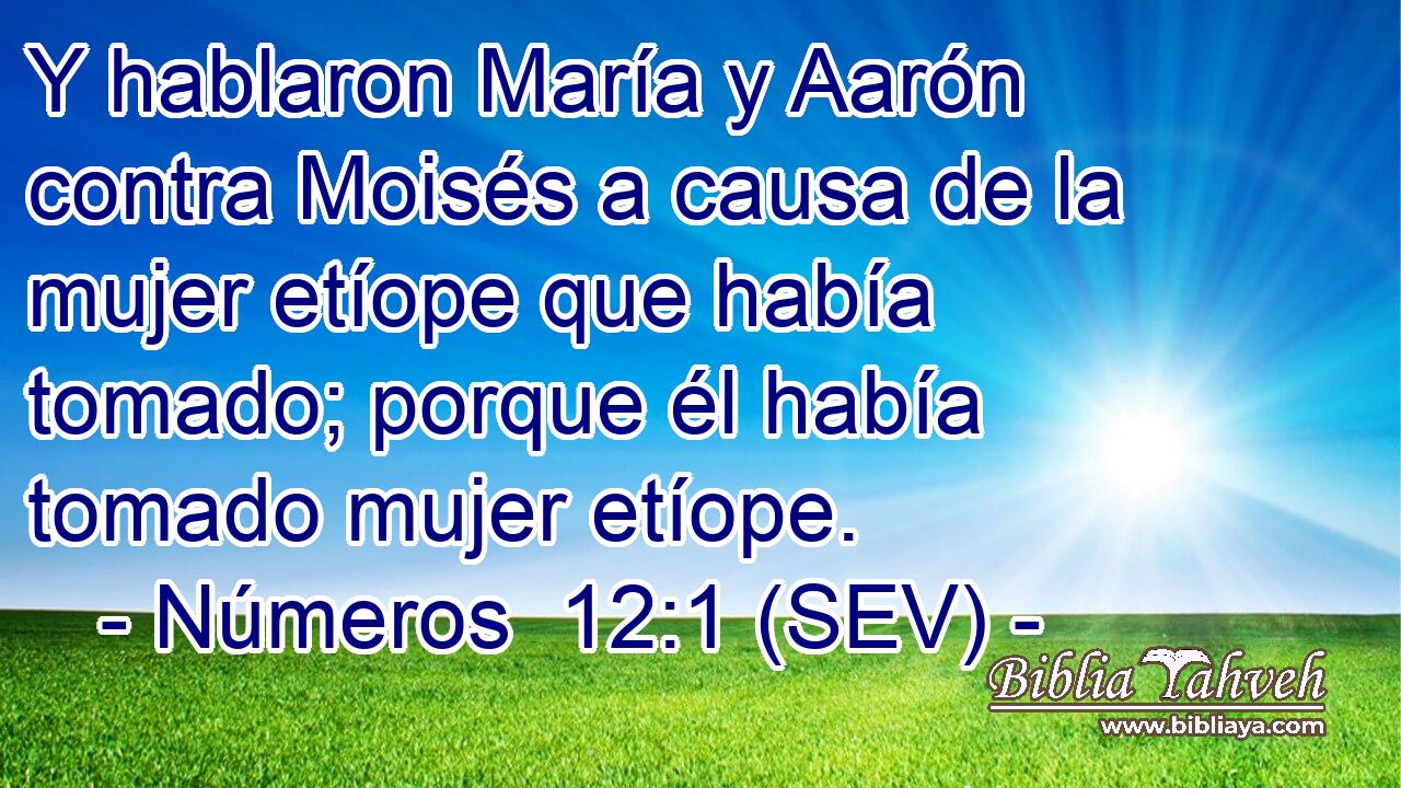 Y hablaron María y Aarón contra Moisés a causa de la mujer etíope que había tomado; porque él había tomado mujer etíope.