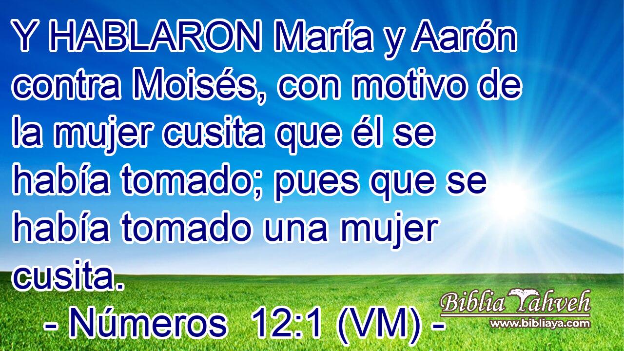  Y HABLARON María y Aarón contra Moisés, con motivo de la mujer cusita que él se había tomado; pues que se había tomado una mujer cusita. 