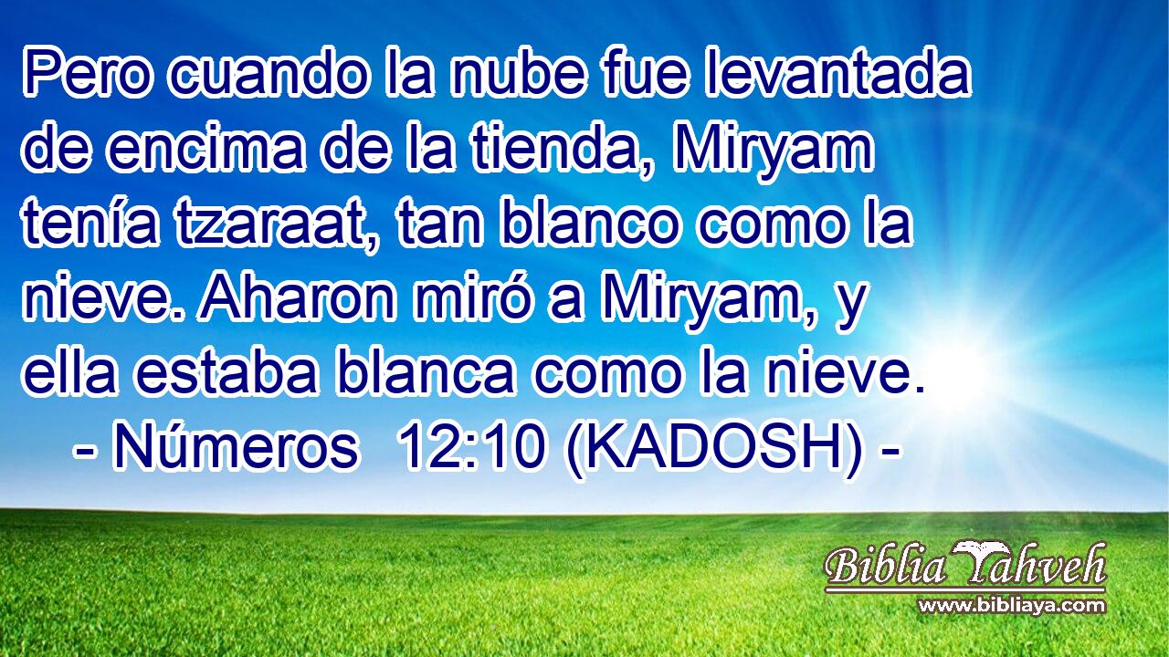  Pero cuando la nube fue levantada de encima de la tienda, Miryam tenía tzaraat, tan blanco como la nieve. Aharon miró a Miryam, y ella estaba blanca como la nieve. 