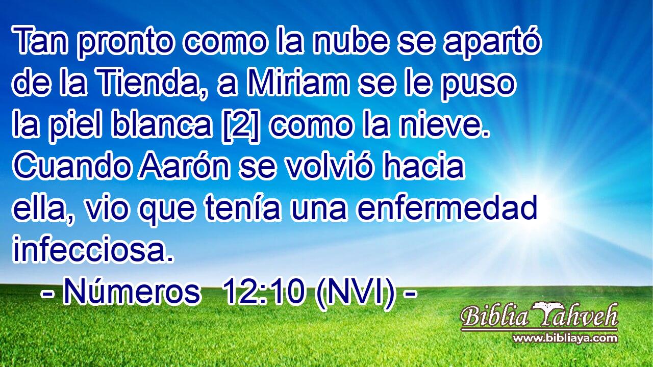  Tan pronto como la nube se apartó de la Tienda, a Miriam se le puso la piel blanca [2] como la nieve. Cuando Aarón se volvió hacia ella, vio que tenía una enfermedad infecciosa. 