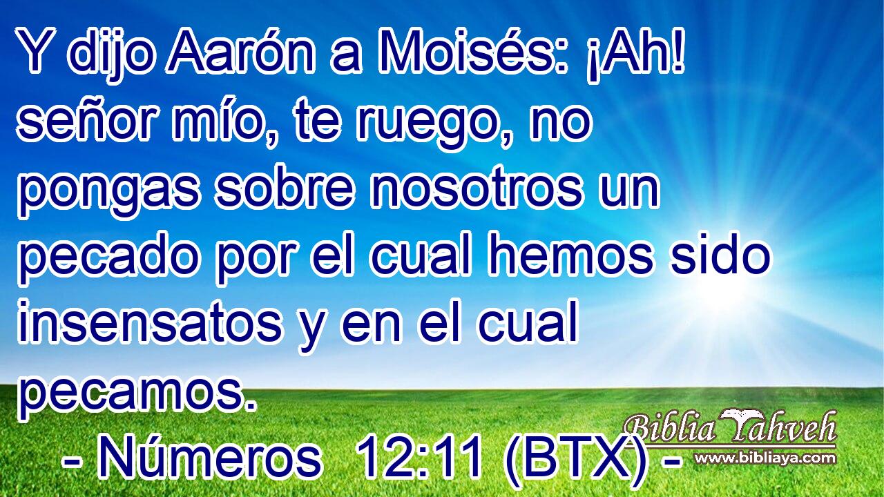 Y dijo Aarón a Moisés: ¡Ah! señor mío, te ruego, no pongas sobre nosotros un pecado por el cual hemos sido insensatos y en el cual pecamos.