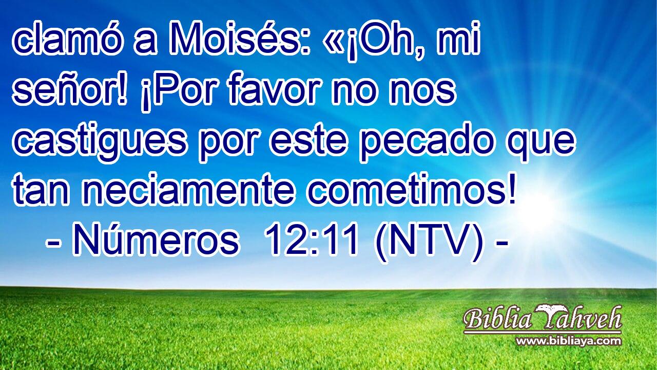 clamó a Moisés: «¡Oh, mi señor! ¡Por favor no nos castigues por este pecado que tan neciamente cometimos!