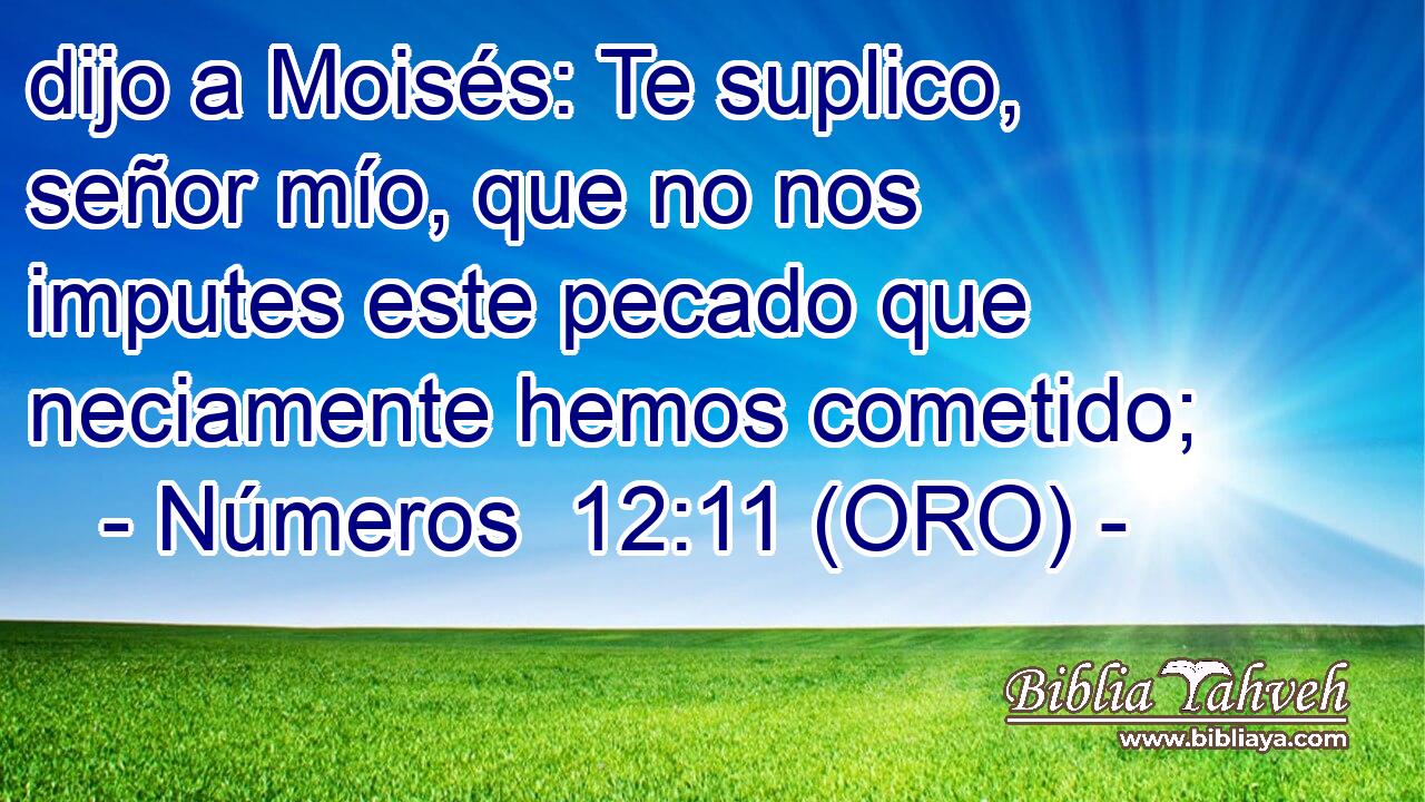  dijo a Moisés: Te suplico, señor mío, que no nos imputes este pecado que neciamente hemos cometido; 
