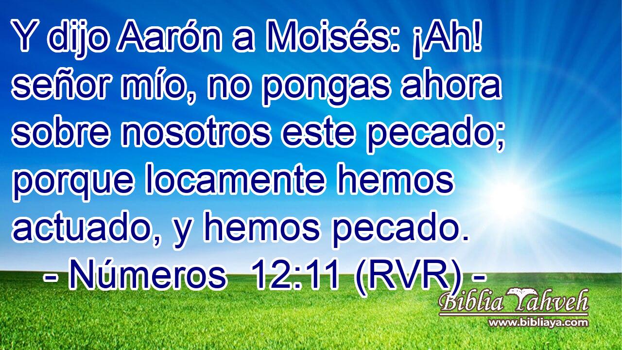 Y dijo Aarón a Moisés: ¡Ah! señor mío, no pongas ahora sobre nosotros este pecado; porque locamente hemos actuado, y hemos pecado.