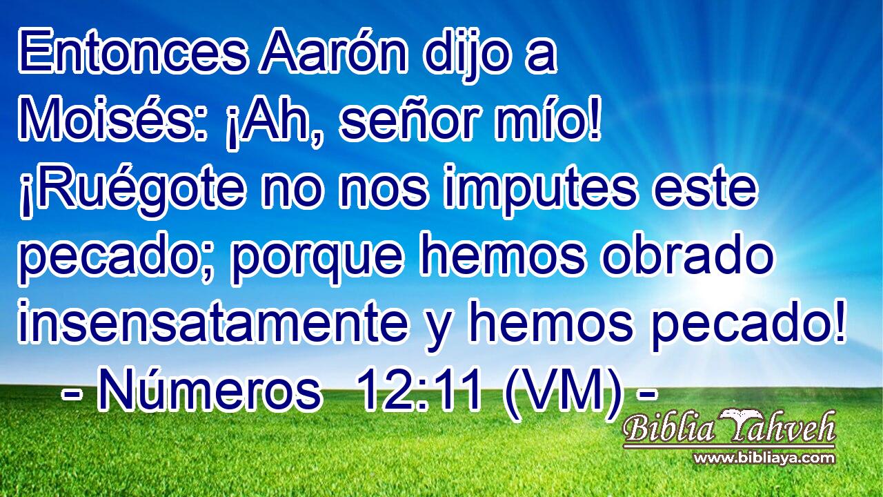  Entonces Aarón dijo a Moisés: ¡Ah, señor mío! ¡Ruégote no nos imputes este pecado; porque hemos obrado insensatamente y hemos pecado! 