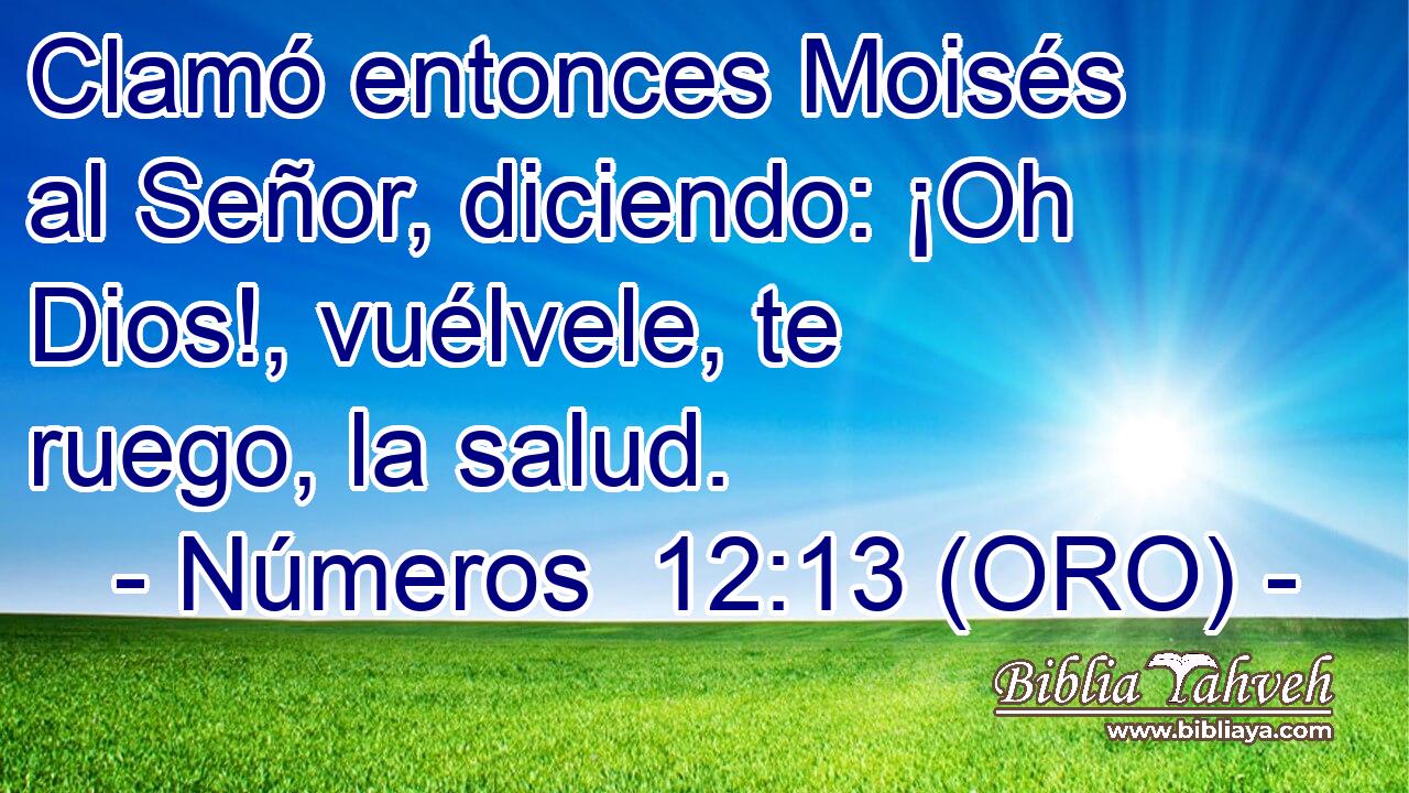  Clamó entonces Moisés al Señor, diciendo: ¡Oh Dios!, vuélvele, te ruego, la salud. 