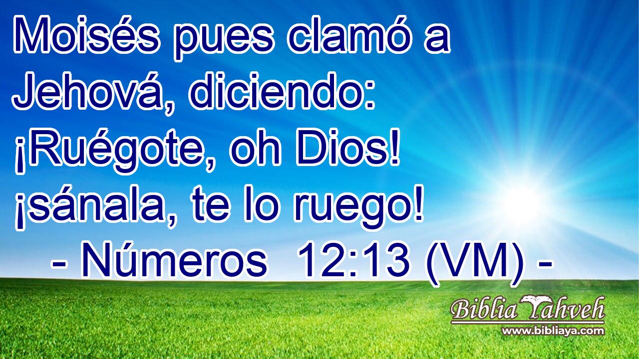  Moisés pues clamó a Jehová, diciendo: ¡Ruégote, oh Dios! ¡sánala, te lo ruego! 