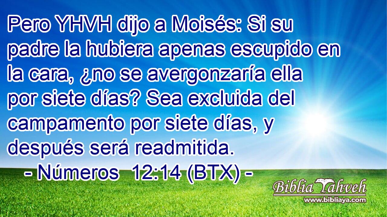 Pero YHVH dijo a Moisés: Si su padre la hubiera apenas escupido en la cara, ¿no se avergonzaría ella por siete días? Sea excluida del campamento por siete días, y después será readmitida.