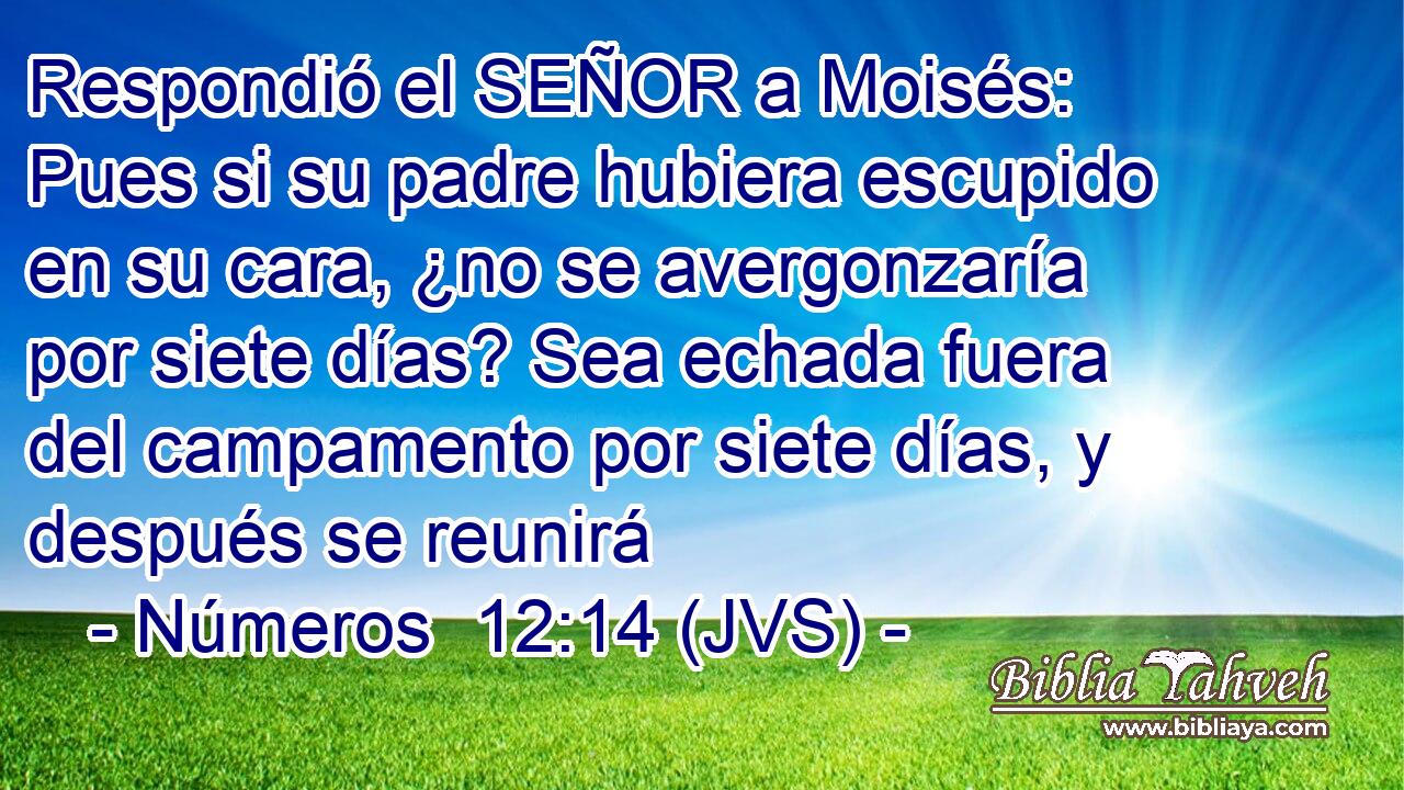 Respondió el SEÑOR a Moisés: Pues si su padre hubiera escupido en su cara, ¿no se avergonzaría por siete días? Sea echada fuera del campamento por siete días, y después se reunirá