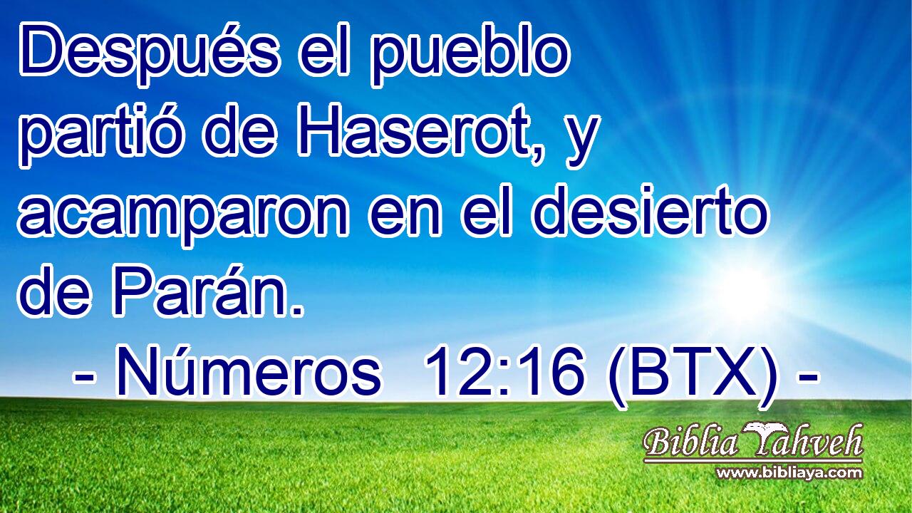 Después el pueblo partió de Haserot, y acamparon en el desierto de Parán.