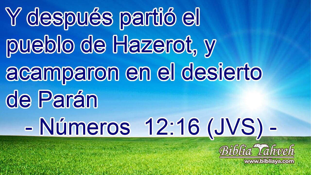 Y después partió el pueblo de Hazerot, y acamparon en el desierto de Parán
