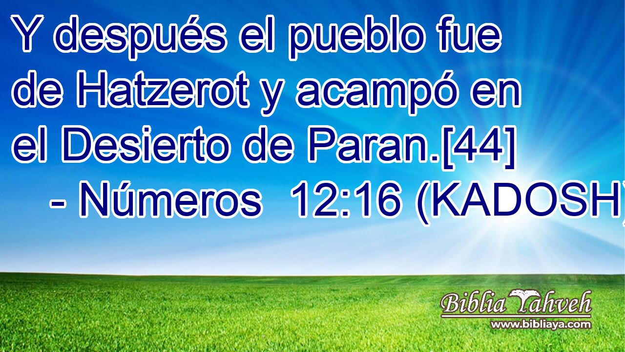  Y después el pueblo fue de Hatzerot y acampó en el Desierto de Paran.[44] 