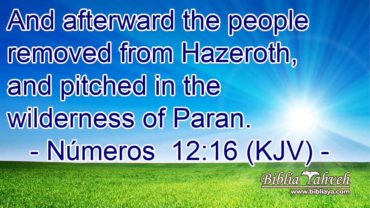 And afterward the people removed from Hazeroth, and pitched in the wilderness of Paran.