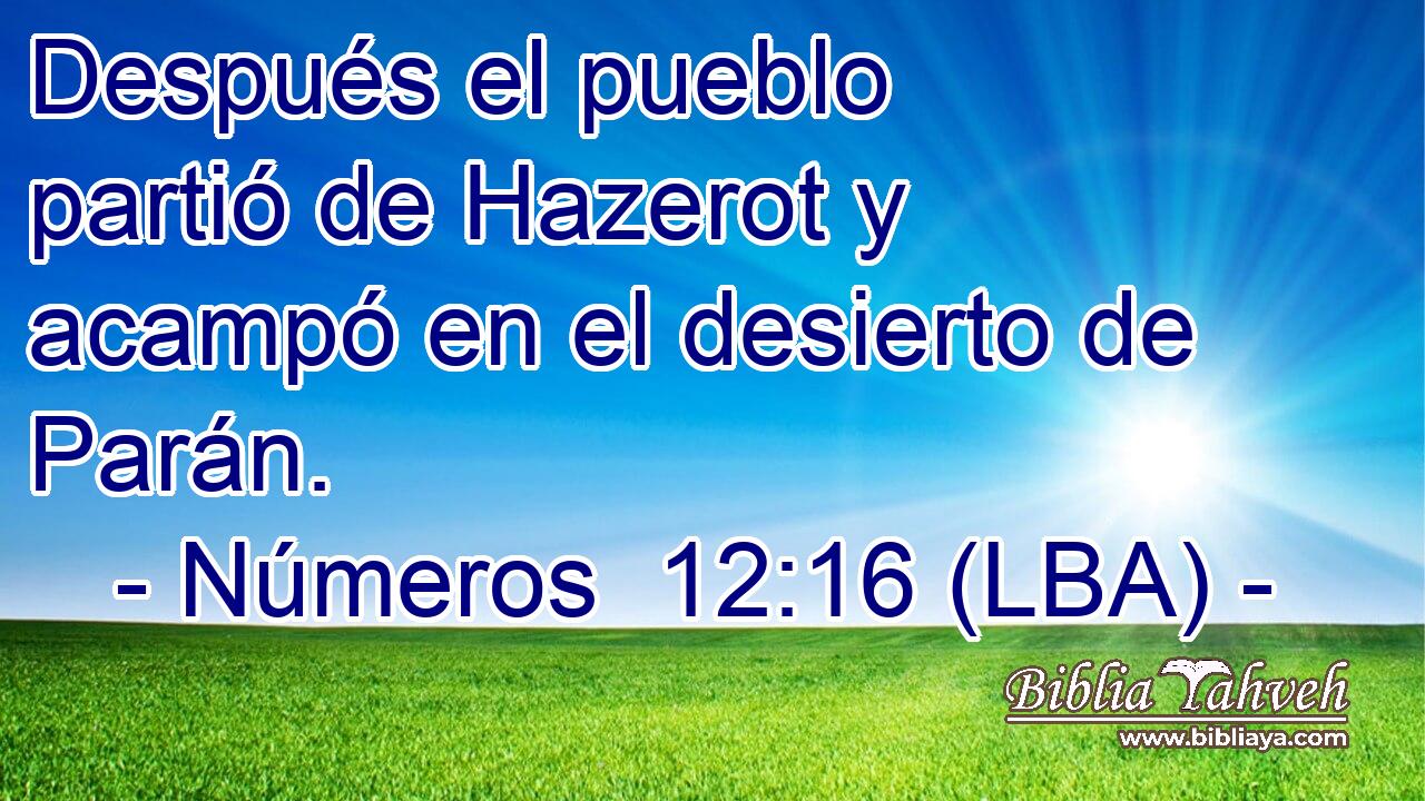 Después el pueblo partió de Hazerot y acampó en el desierto de Parán.