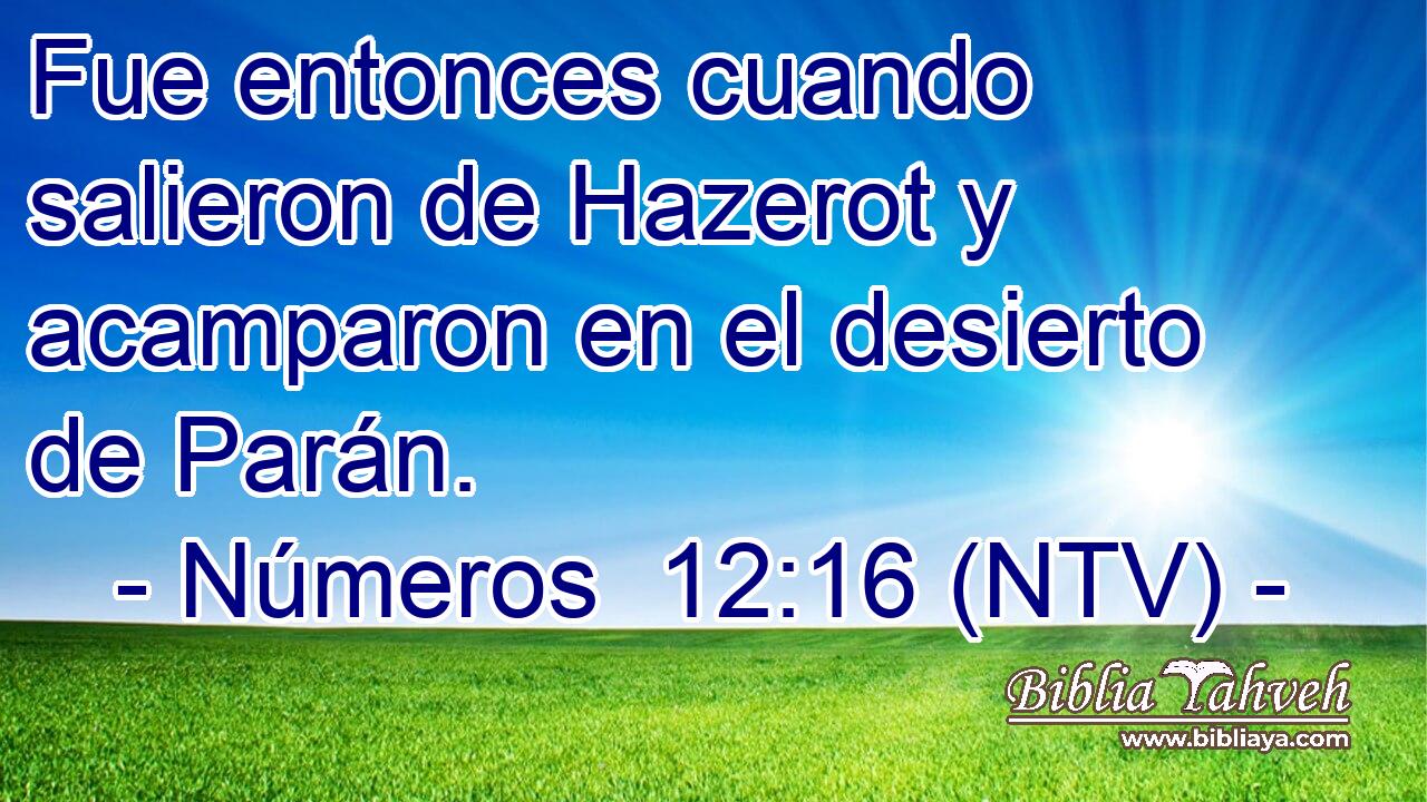 Fue entonces cuando salieron de Hazerot y acamparon en el desierto de Parán.