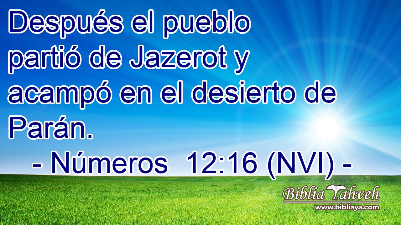  Después el pueblo partió de Jazerot y acampó en el desierto de Parán. 