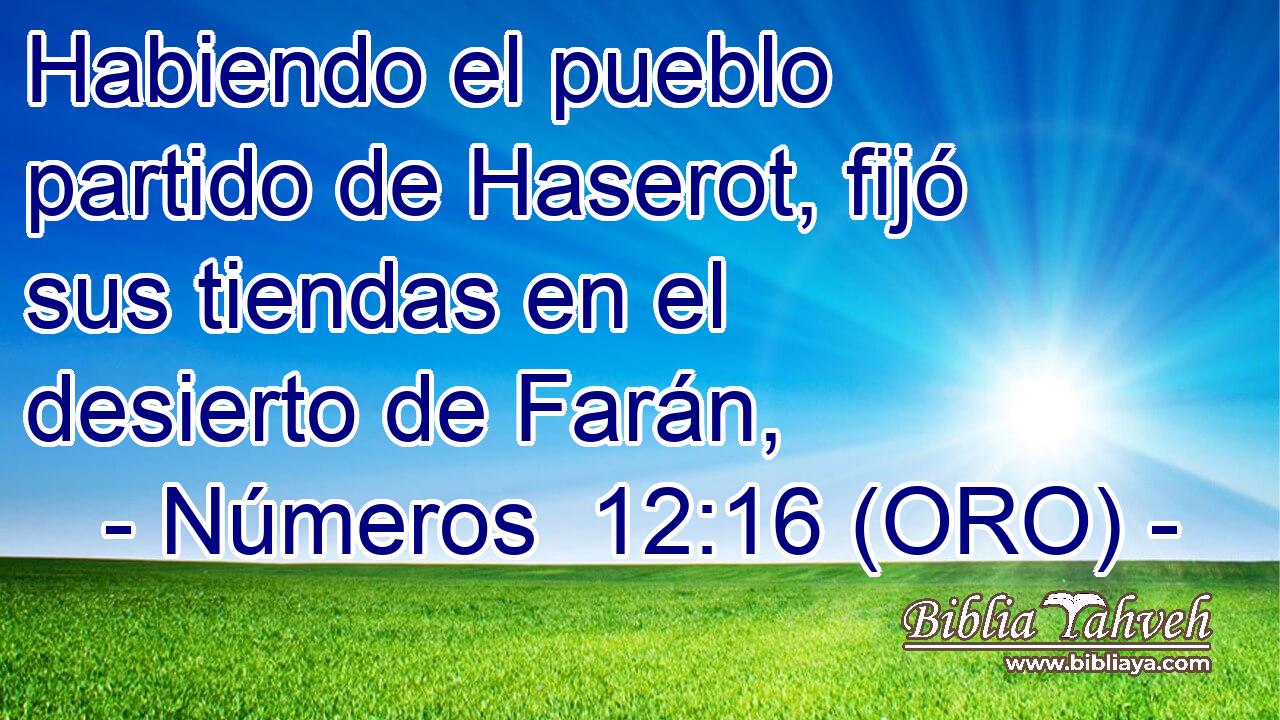  Habiendo el pueblo partido de Haserot, fijó sus tiendas en el desierto de Farán, 