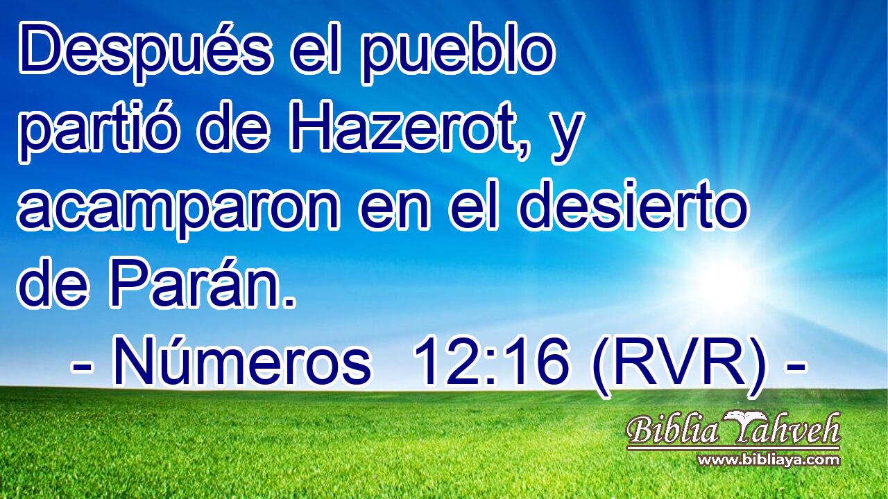 Después el pueblo partió de Hazerot, y acamparon en el desierto de Parán.