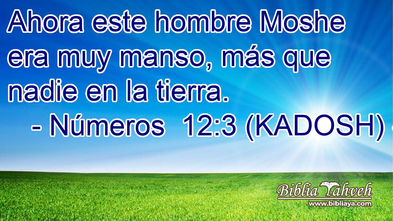  Ahora este hombre Moshe era muy manso, más que nadie en la tierra. 