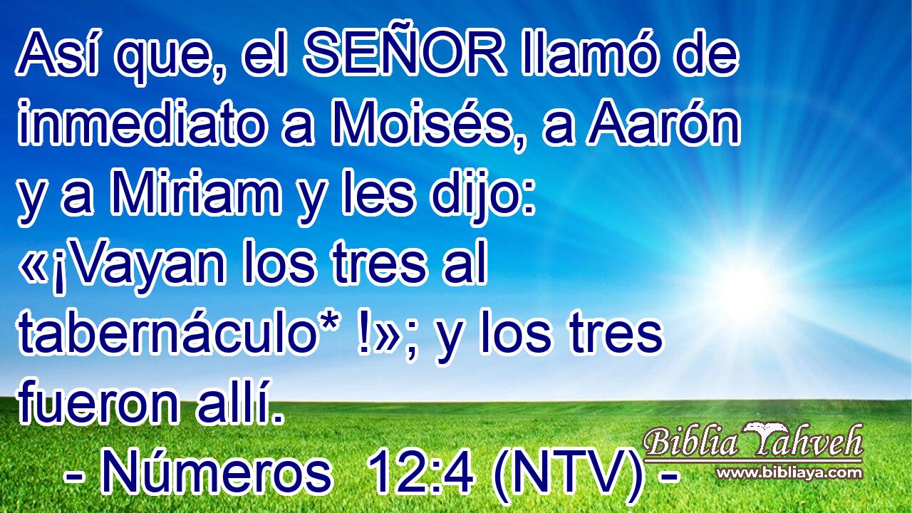 Así que, el SEÑOR llamó de inmediato a Moisés, a Aarón y a Miriam y les dijo: «¡Vayan los tres al tabernáculo* !»; y los tres fueron allí.
