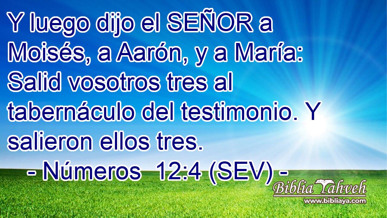 Y luego dijo el SEÑOR a Moisés, a Aarón, y a María: Salid vosotros tres al tabernáculo del testimonio. Y salieron ellos tres.