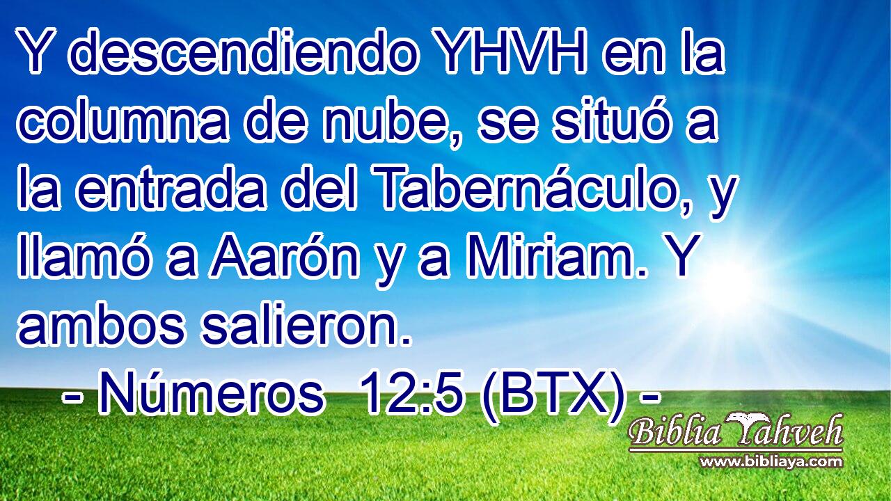 Y descendiendo YHVH en la columna de nube, se situó a la entrada del Tabernáculo, y llamó a Aarón y a Miriam. Y ambos salieron.