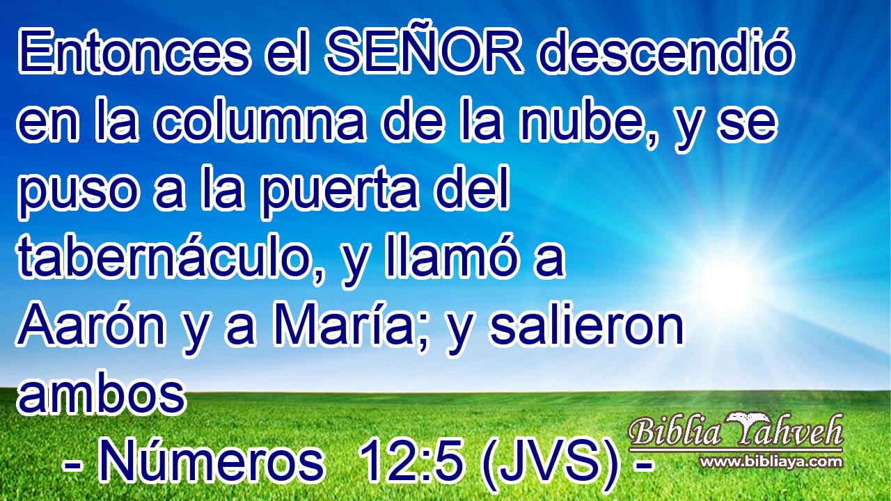 Entonces el SEÑOR descendió en la columna de la nube, y se puso a la puerta del tabernáculo, y llamó a Aarón y a María; y salieron ambos