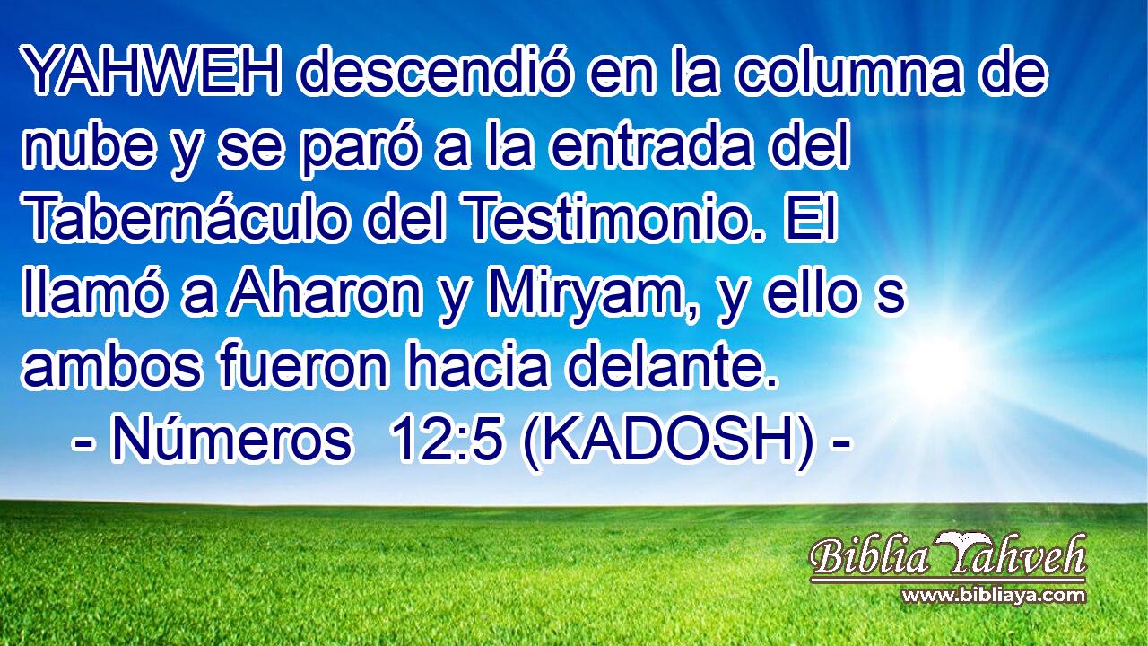  YAHWEH descendió en la columna de nube y se paró a la entrada del Tabernáculo del Testimonio. El llamó a Aharon y Miryam, y ello s ambos fueron hacia delante. 