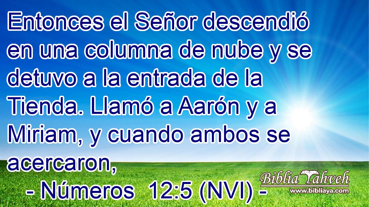  Entonces el Señor descendió en una columna de nube y se detuvo a la entrada de la Tienda. Llamó a Aarón y a Miriam, y cuando ambos se acercaron, 