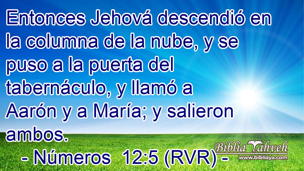Entonces Jehová descendió en la columna de la nube, y se puso a la puerta del tabernáculo, y llamó a Aarón y a María; y salieron ambos.