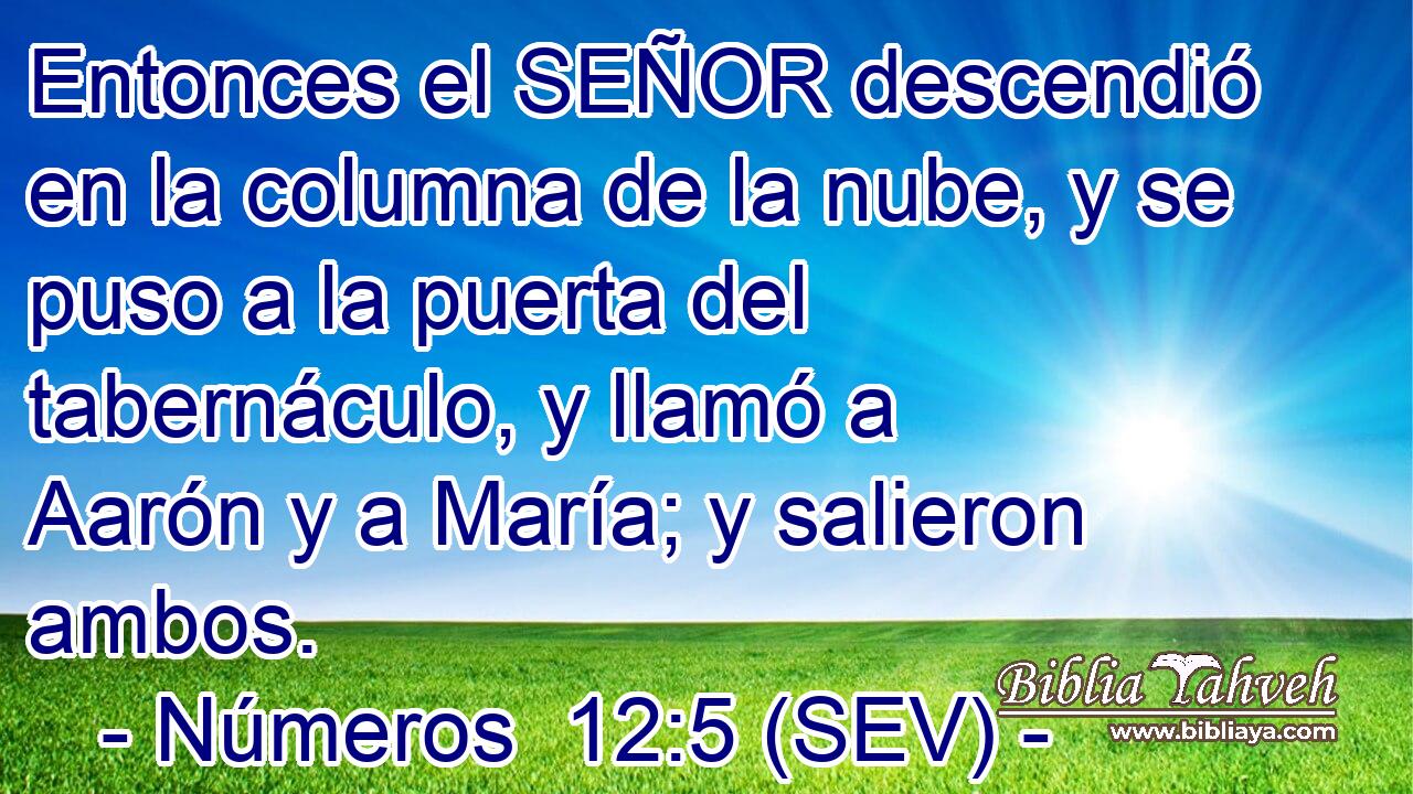 Entonces el SEÑOR descendió en la columna de la nube, y se puso a la puerta del tabernáculo, y llamó a Aarón y a María; y salieron ambos.