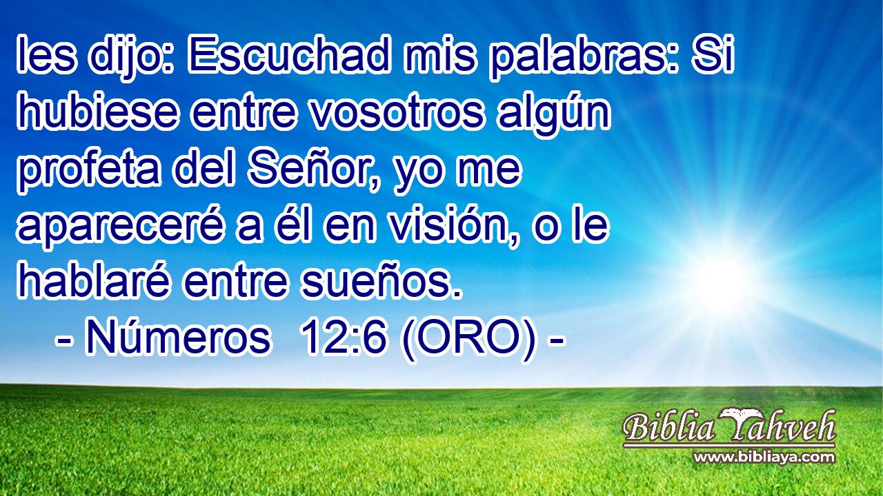  les dijo: Escuchad mis palabras: Si hubiese entre vosotros algún profeta del Señor, yo me apareceré a él en visión, o le hablaré entre sueños. 