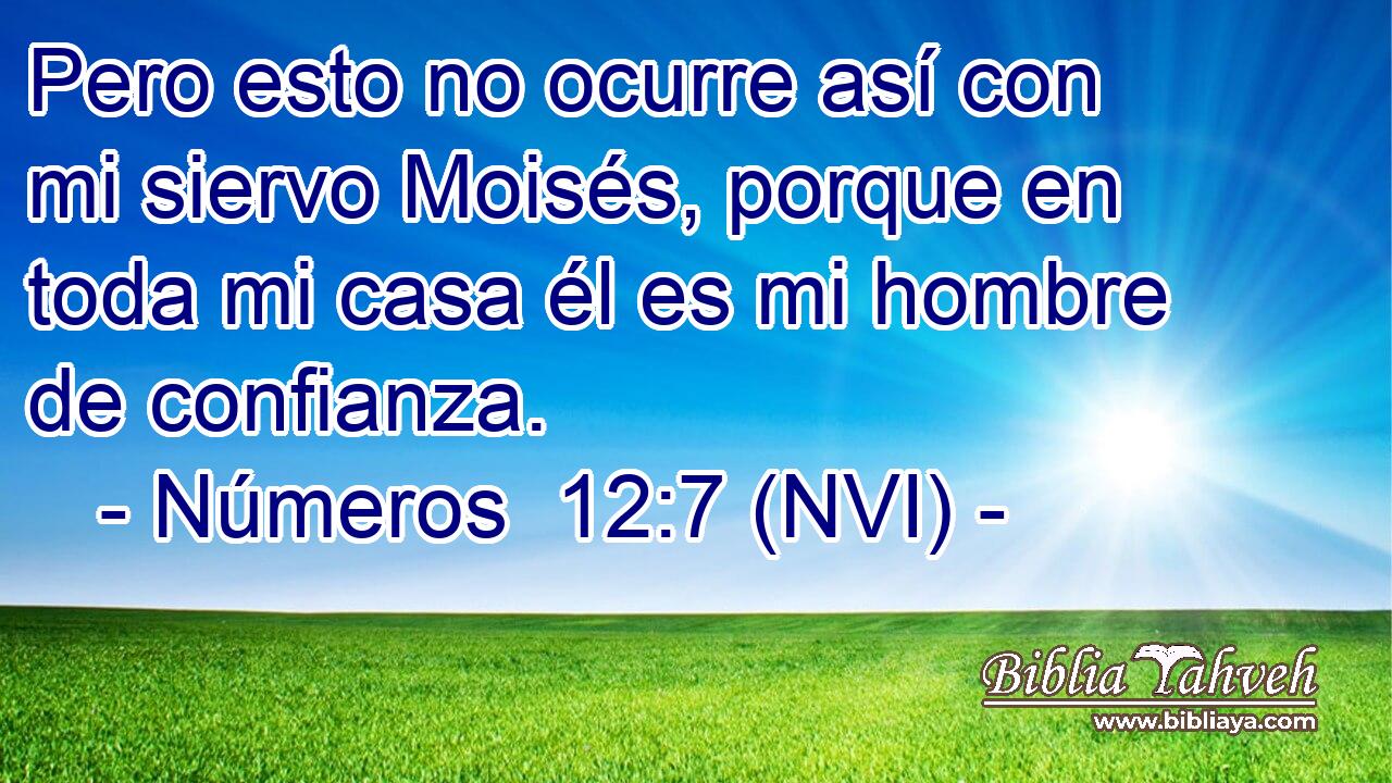  Pero esto no ocurre así con mi siervo Moisés, porque en toda mi casa él es mi hombre de confianza. 