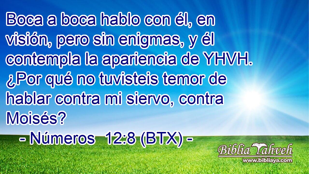 Boca a boca hablo con él, en visión, pero sin enigmas, y él contempla la apariencia de YHVH. ¿Por qué no tuvisteis temor de hablar contra mi siervo, contra Moisés?