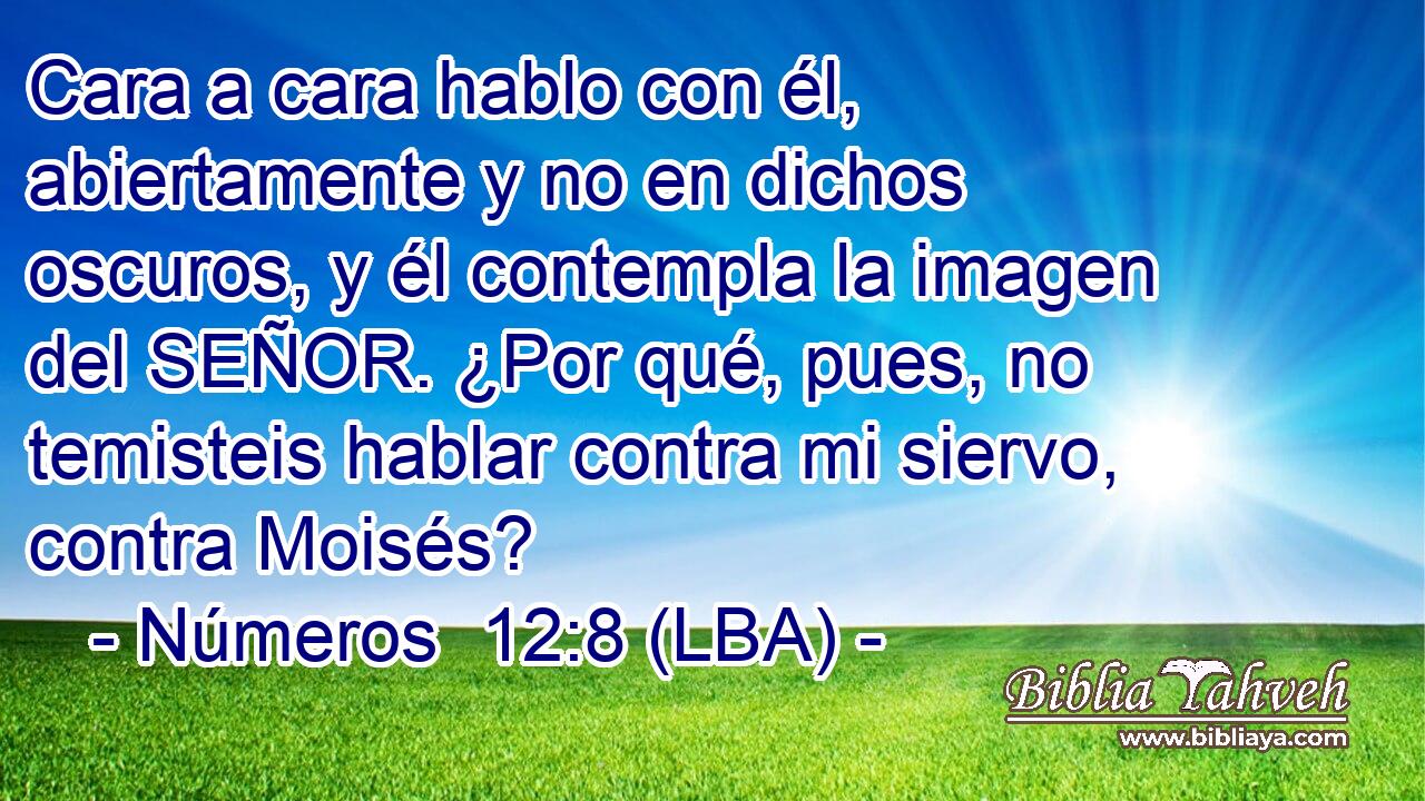 Cara a cara hablo con él, abiertamente y no en dichos oscuros, y él contempla la imagen del SEÑOR. ¿Por qué, pues, no temisteis hablar contra mi siervo, contra Moisés?