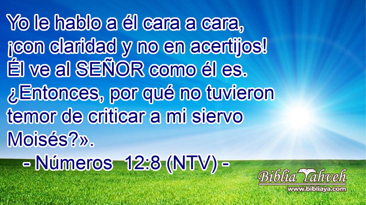 Yo le hablo a él cara a cara, ¡con claridad y no en acertijos! Él ve al SEÑOR como él es. ¿Entonces, por qué no tuvieron temor de criticar a mi siervo Moisés?».