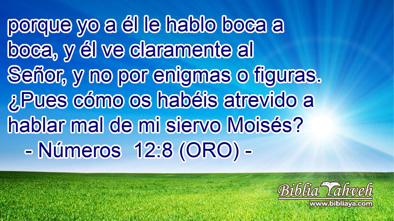  porque yo a él le hablo boca a boca, y él ve claramente al Señor, y no por enigmas o figuras. ¿Pues cómo os habéis atrevido a hablar mal de mi siervo Moisés? 