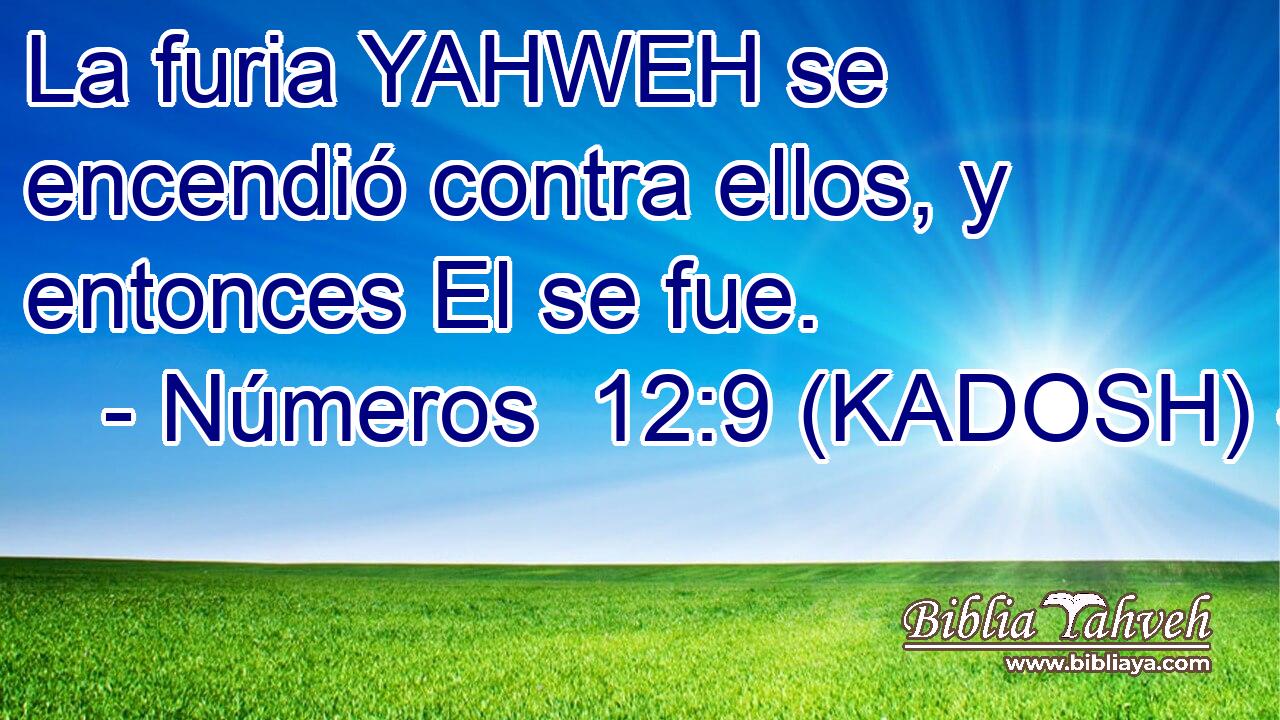  La furia YAHWEH se encendió contra ellos, y entonces El se fue. 