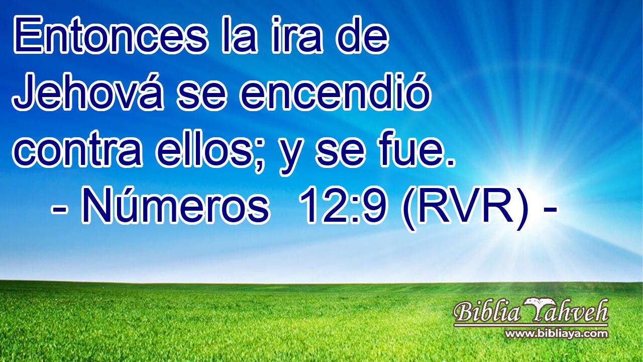 Entonces la ira de Jehová se encendió contra ellos; y se fue.