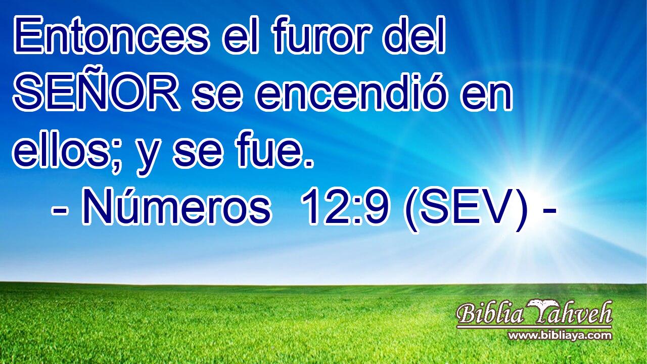 Entonces el furor del SEÑOR se encendió en ellos; y se fue.