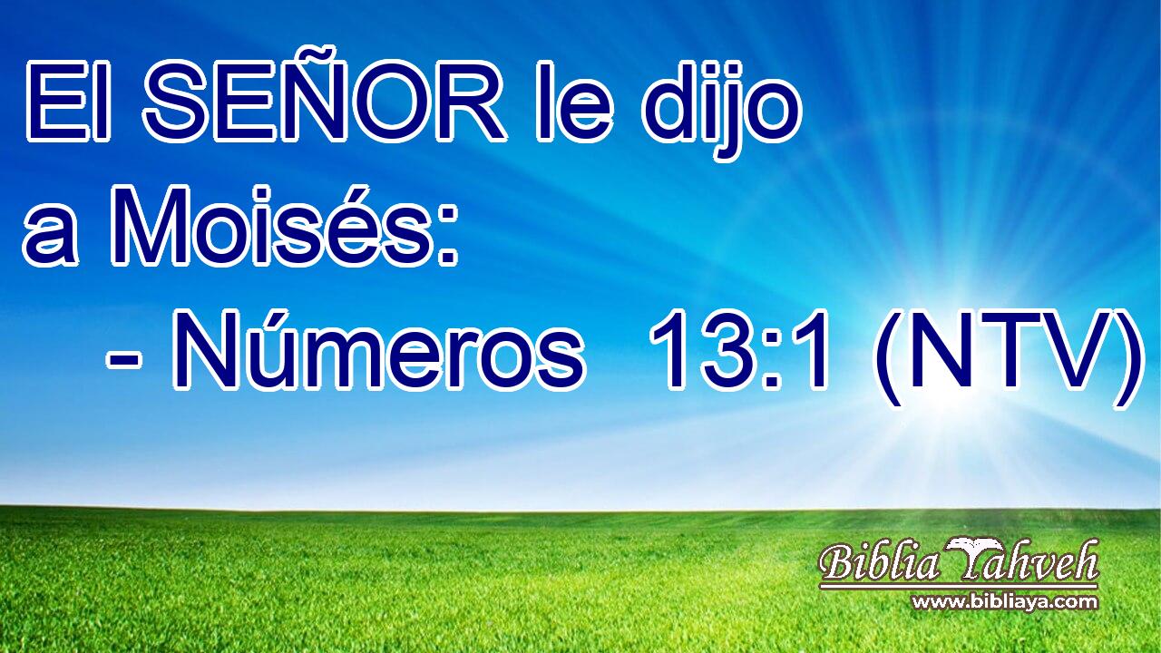 El SEÑOR le dijo a Moisés:
