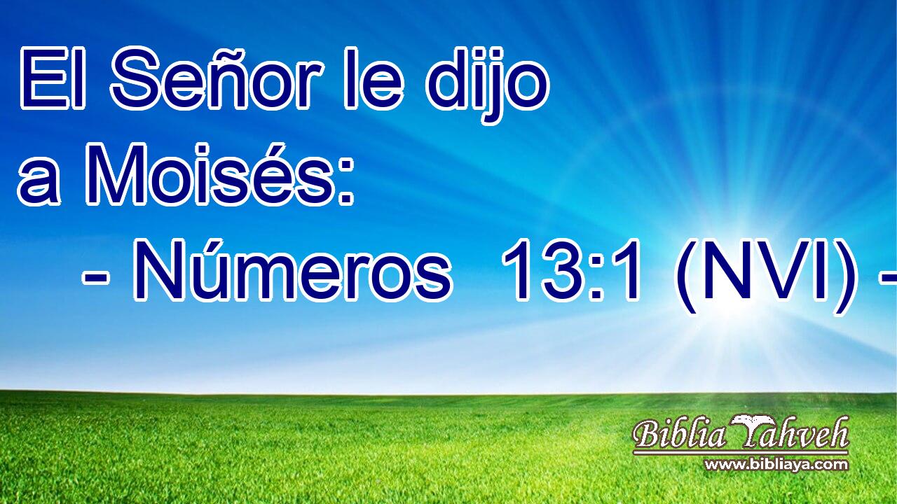  El Señor le dijo a Moisés: 
