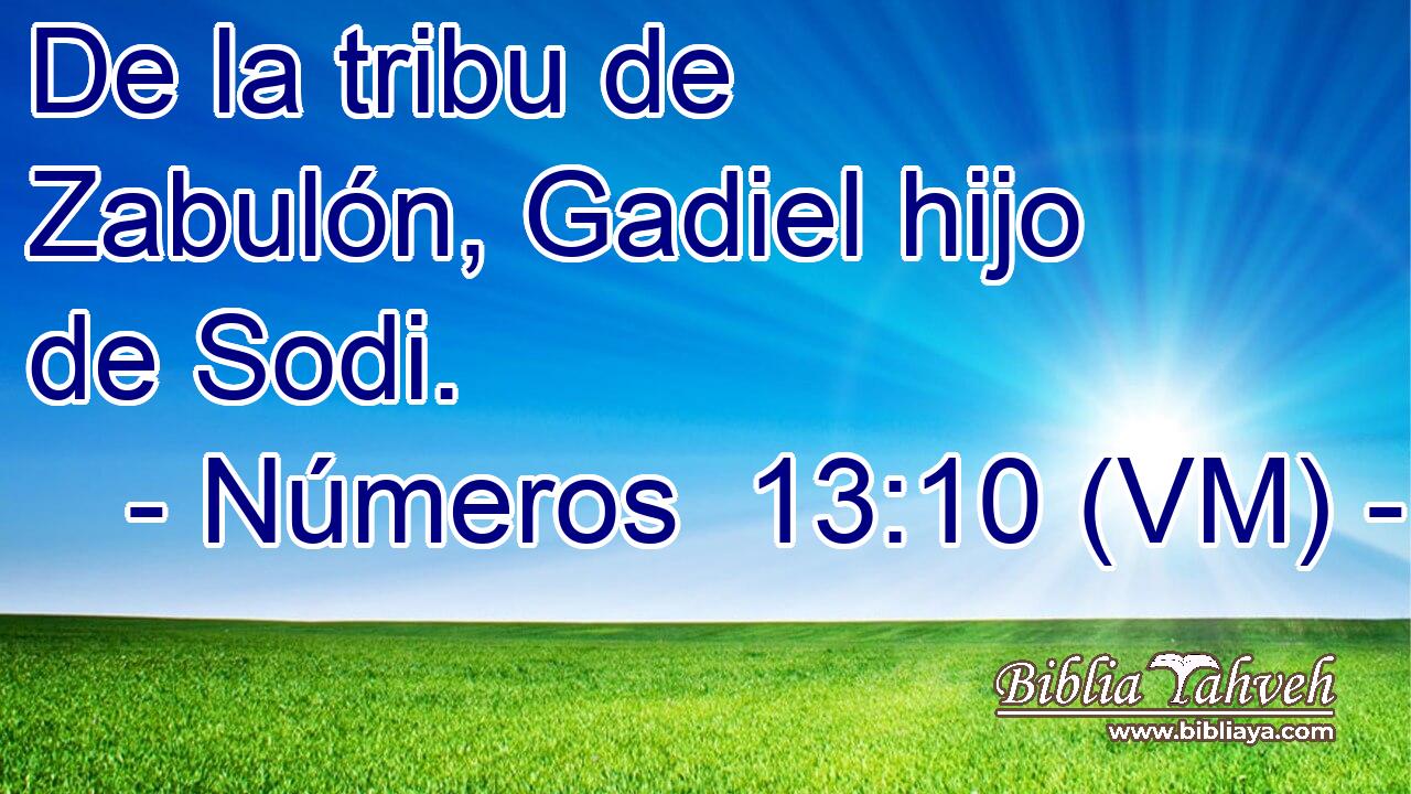  De la tribu de Zabulón, Gadiel hijo de Sodi. 